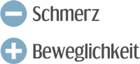 -Schmerz +Beweglichkeit -Schmerz +Beweglichkeit